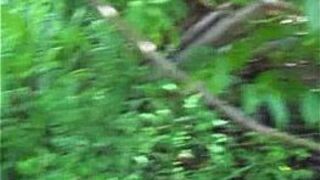 Naked Asian Outdoors - porn video