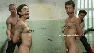 His majesty the great gay bondage master - porn video