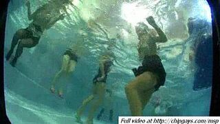 Cool orgy on music party - porn video
