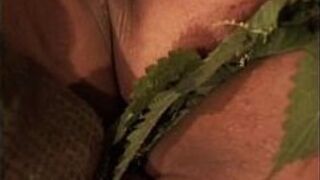 nettle punishment - porn video